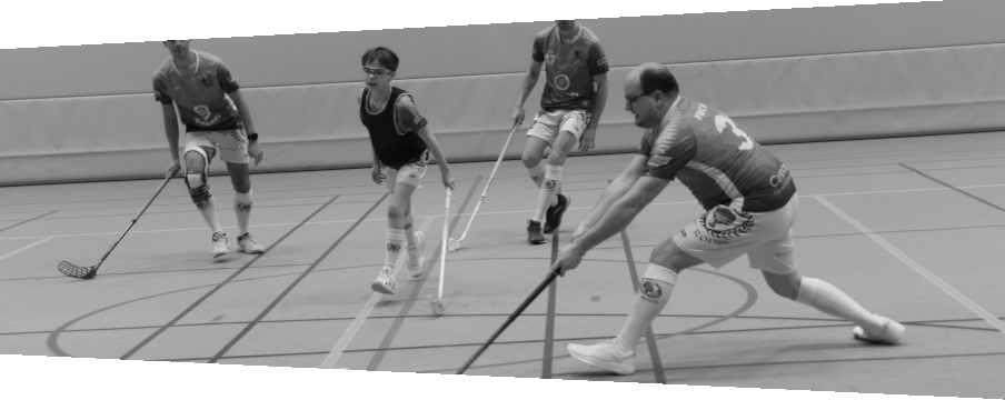 Recreanten in actie